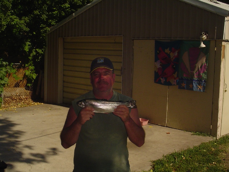 Rainbow Trout