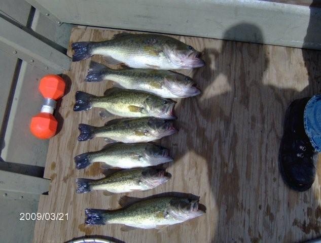 Camanche fishing photo 1
