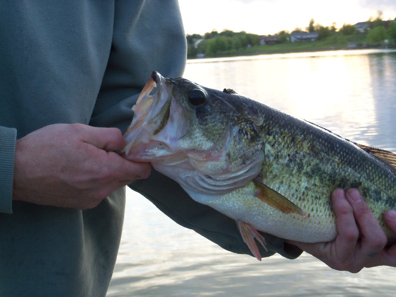 Crystal lake Bassn' near Lovilia