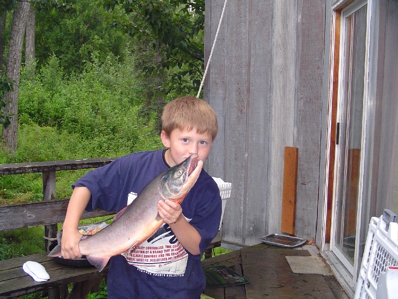Back Yard Salmon, Palmer, AK